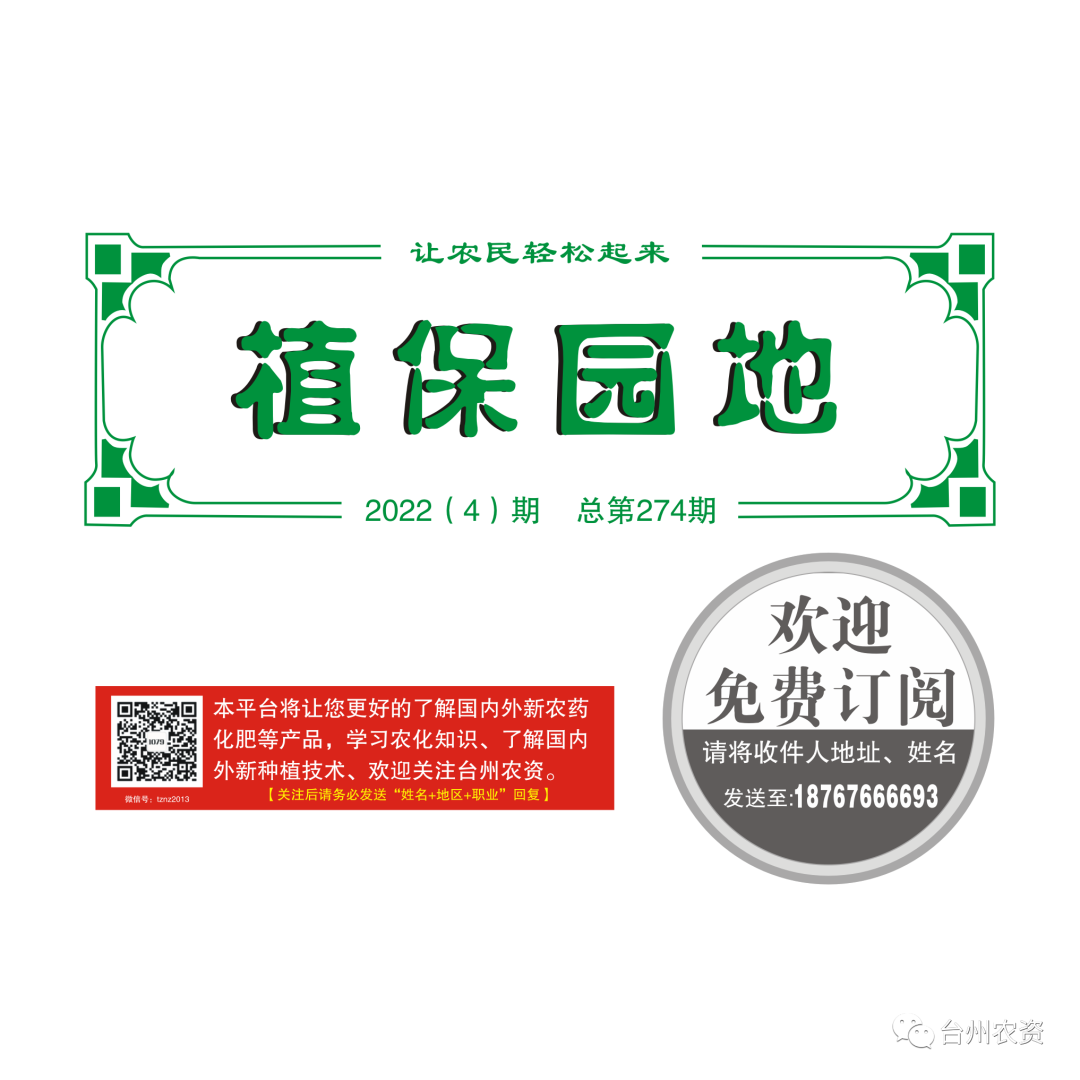 氣溫驟降，大棚西瓜做好以下幾點(diǎn)工作
